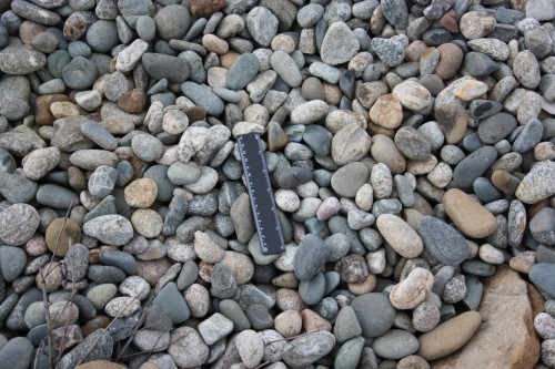  Галька речная окат (пестрая) фр. 20-40 мм. купить   в Москве галька речная пестрая, серая, серые оттенки галька речная окатанная округлая 4000 руб/т   фото 