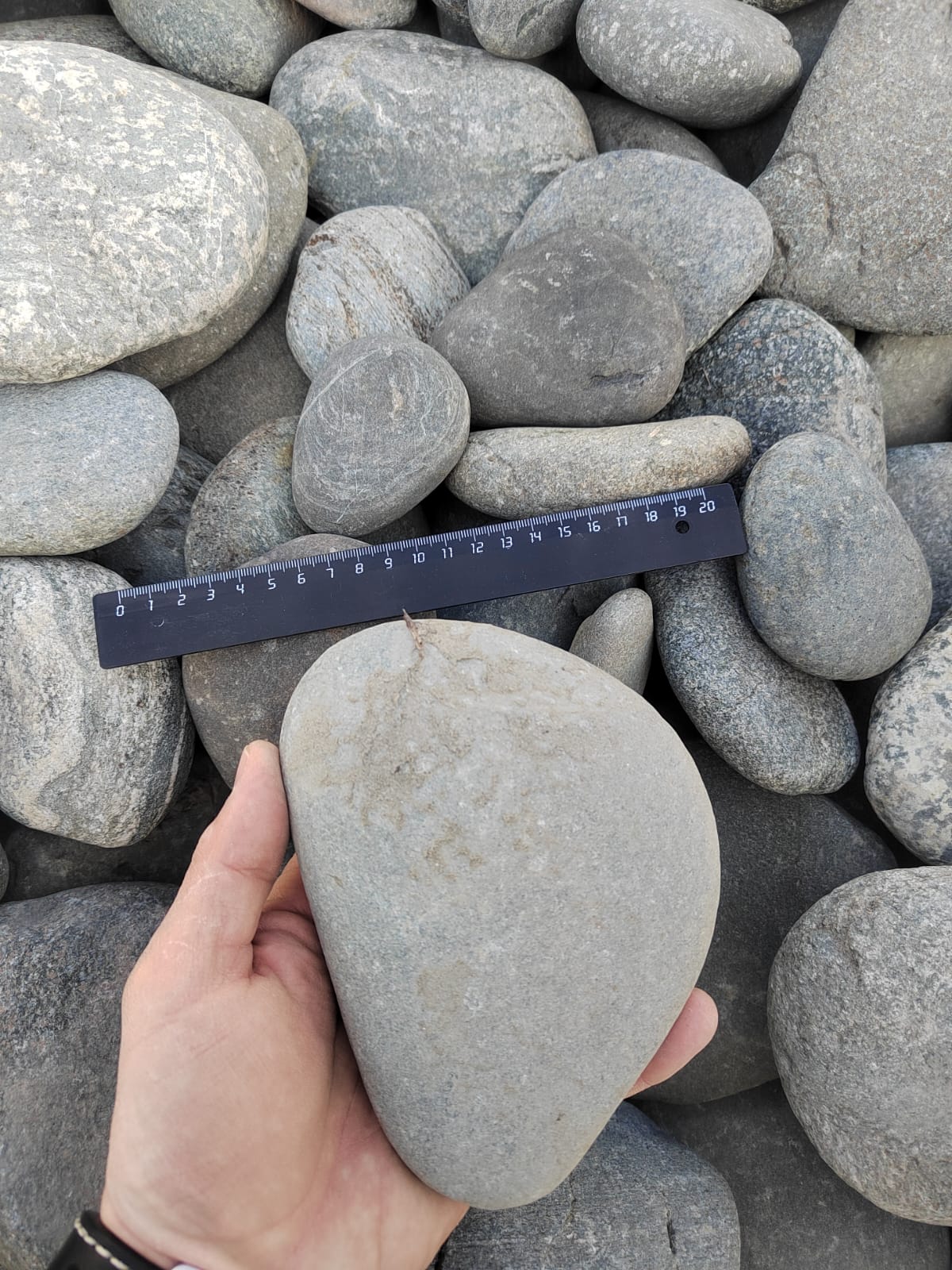 Kamenclub.ru: Галька речная плоская (ассорти) фр. 70-150 мм. купить   в  Москвегалька галечник серый белый темно-серый синий светло-серый плоская природная галька  6200 руб/т   фото КАМЕНЬ КЛУБ